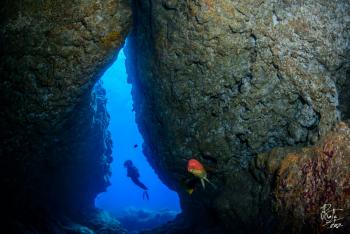 PADI Discover Scuba Diving - Shore Diving